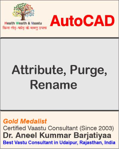 Attribute, Purge, Rename